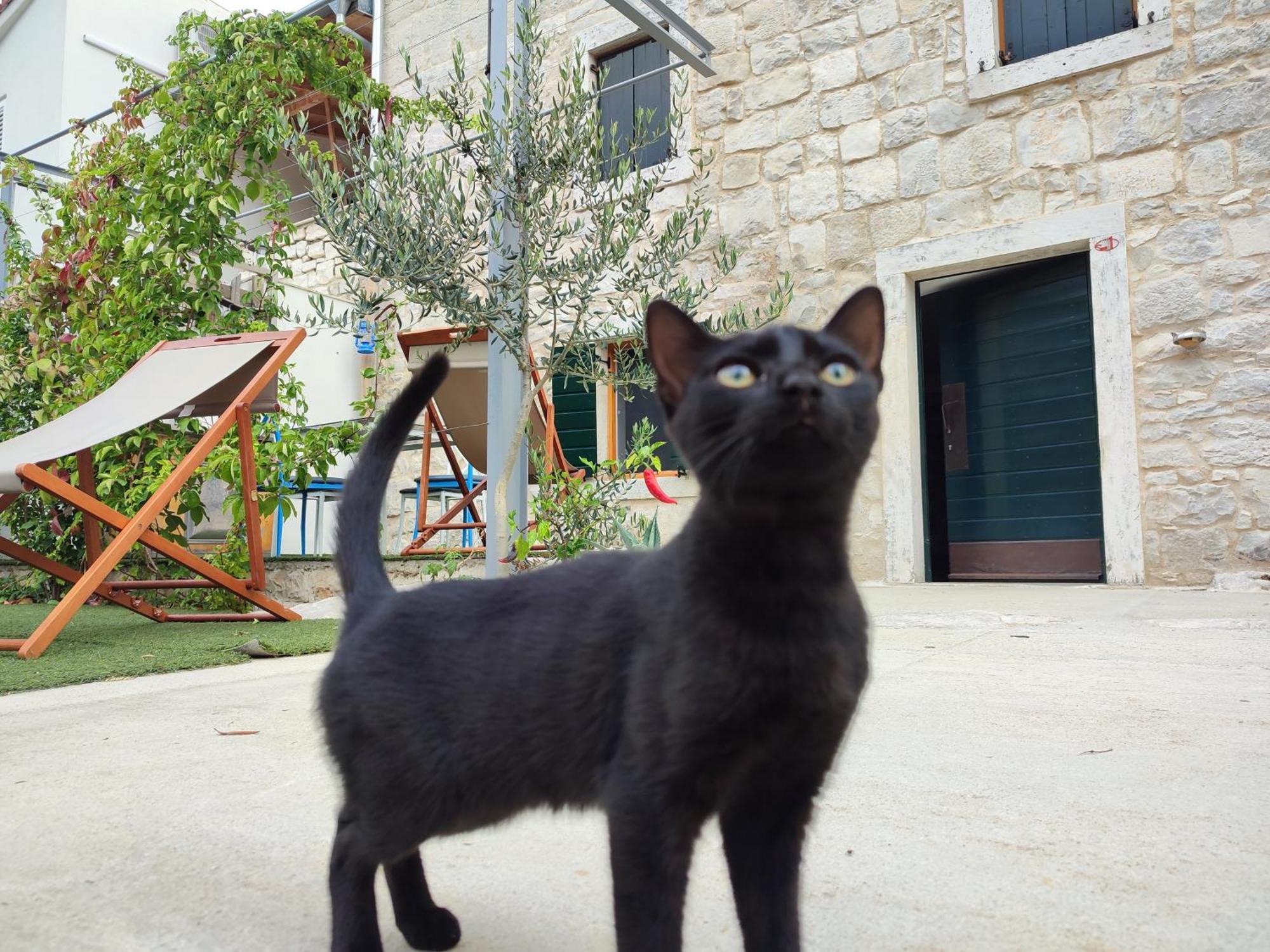 Apartmani Peljesac Sova Sreser Exteriér fotografie