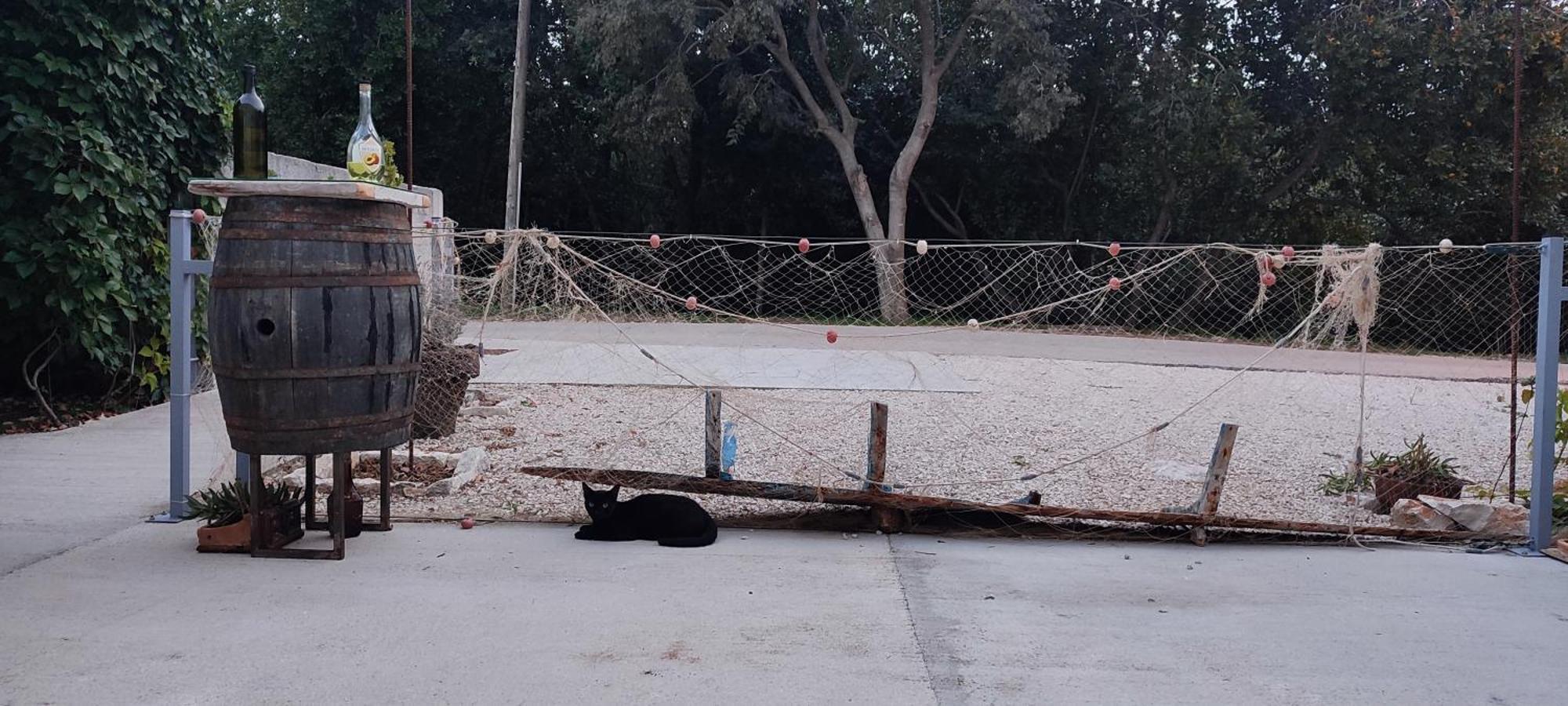 Apartmani Peljesac Sova Sreser Exteriér fotografie