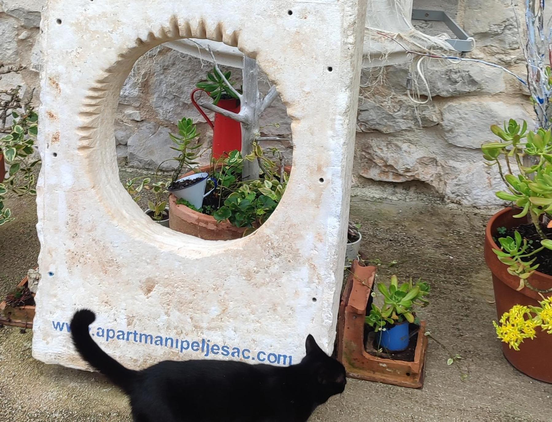 Apartmani Peljesac Sova Sreser Exteriér fotografie